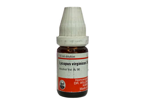 Picture of Lycopus Virginicus 30 10ml Pot