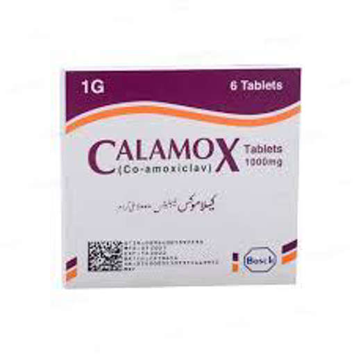 Picture of Calamox 1g Tab 6x1s