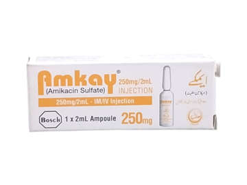 Picture of Amkay 250mg Inj 1s