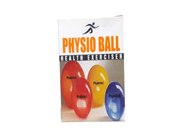 Picture of Physio Ball Oval H
