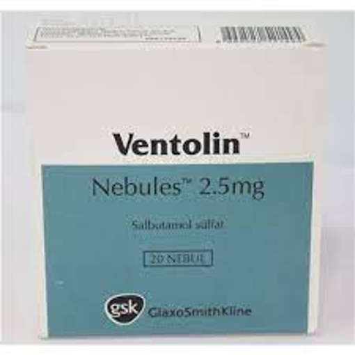Picture of Ventolin 2.5mg Nebules 5x4 Imp