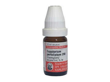 Picture of Eupatorium Perfoliatum 200 10ml Pot