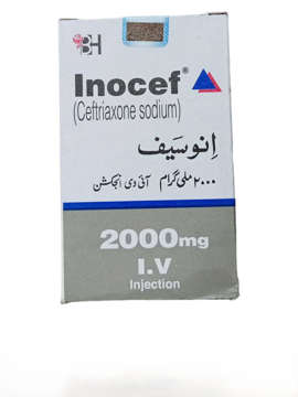 Picture of Inocef 2000mg Iv Inj 1x1s